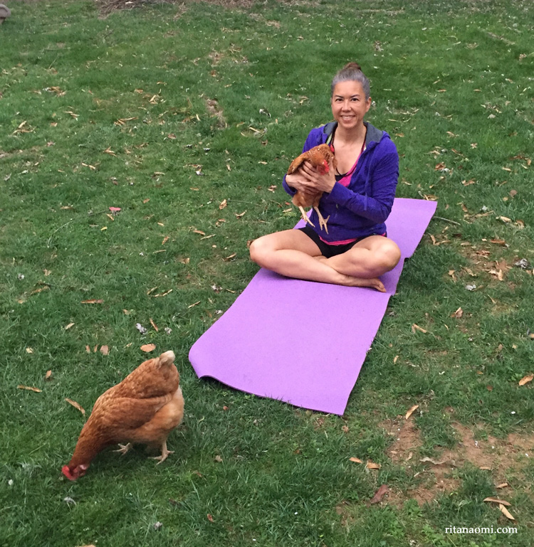 chickenyoga-ritanaomi